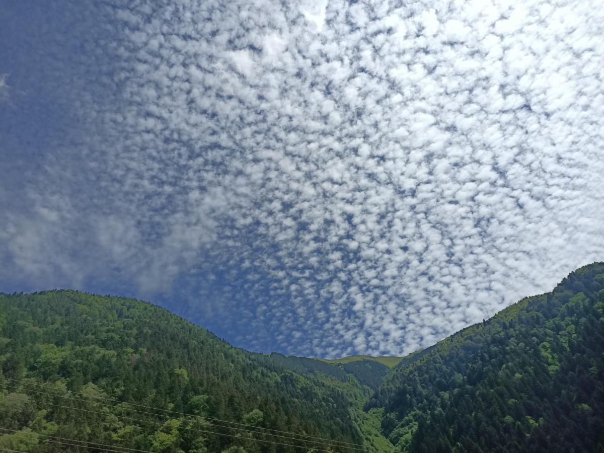 Akpinar Hotel Uzungöl Luaran gambar